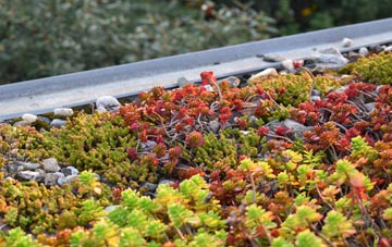 the cost of Kirkby Fleetham green roof installation