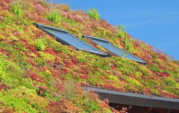 Kirkby Fleetham living roof systems