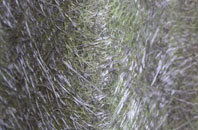 Kirkby Fleetham fibreglass roof work